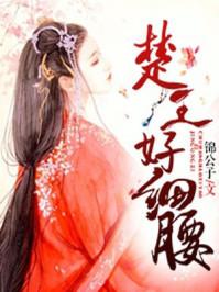 心有瑶光楚君意txt