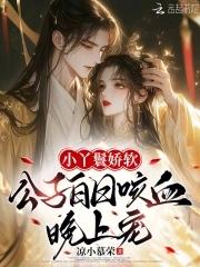 公子丫鬟古言