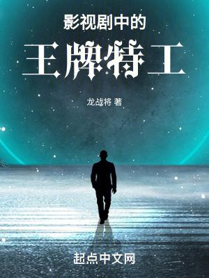 连续剧王牌特工