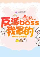 快穿之反派boss我来了