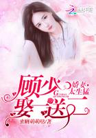 娇妻驾到顾少请节制