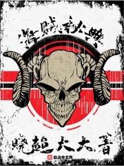 海贼王游戏里的秘传书怎么用