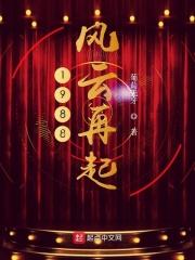 1988风云再起免费观看