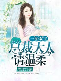 一胎双宝:总裁大人夜夜欢